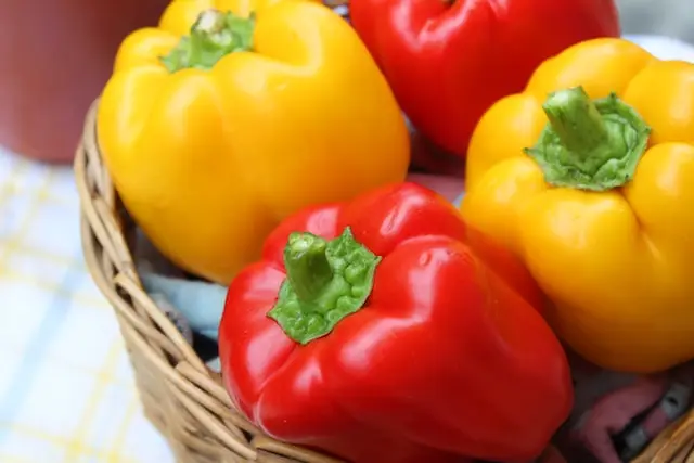 Can Rabbits Eat Bell Pepper?